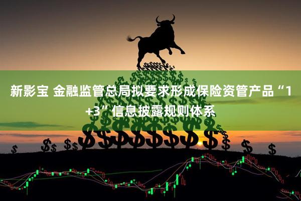 新影宝 金融监管总局拟要求形成保险资管产品“1+3”信息披露规则体系