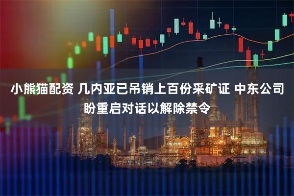 小熊猫配资 几内亚已吊销上百份采矿证 中东公司盼重启对话以解除禁令