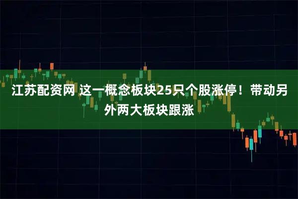 江苏配资网 这一概念板块25只个股涨停!带动另外两大板块跟涨